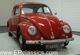 Volkswagen Beetle Sedan / Saloon 1966 Red Volkswagen Beetle Sedan / Saloon 1966 Red Car for Sale. 248834