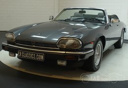 Jaguar XJS Cabriolet V12 Cabriolet / Roadster 1988 Grey Jaguar XJS Cabriolet V12 Cabriolet / Roadster 1988 Grey Car for Sale. 253505