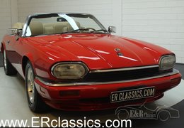 Jaguar XJS Cabriolet Cabriolet / Roadster 1996 Red Jaguar XJS Cabriolet Cabriolet / Roadster 1996 Red Car for Sale. 253959