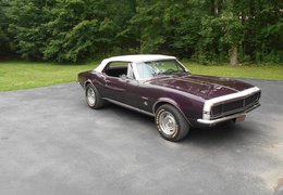 Chevrolet Camaro RS Convertible Cabriolet / Roadster 1967 Multicolor Chevrolet Camaro RS Convertible Cabriolet / Roadster 1967 Multicolor Car for Sale. 257186