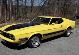 Ford Mustang Mach 1 Fastback Coupe 1973 Yellow Ford Mustang Mach 1 Fastback Coupe 1973 Yellow Car for Sale. 259127