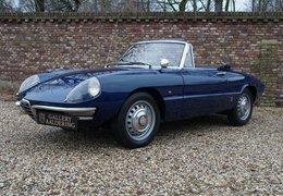 Alfa Romeo Spider 1600 Duetto Cabriolet / Roadster 1966 Blue Alfa Romeo Spider 1600 Duetto Cabriolet / Roadster 1966 Blue Car for Sale. 494828