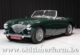 Austin-Healey 100 /4 BN1 Cabriolet / Roadster 1954 Green Austin-Healey 100 /4 BN1 Cabriolet / Roadster 1954 Green Car for Sale. 498357