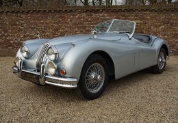 Jaguar XK 140 OTS Special Equipment Cabriolet / Roadster 1957 Jaguar XK 140 OTS Special Equipment Cabriolet / Roadster 1957 Car for Sale. 516986