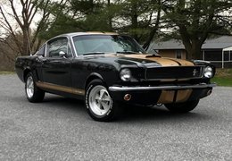 Ford Mustang Fastback Coupe 1965 Black Ford Mustang Fastback Coupe 1965 Black Car for Sale. 529895