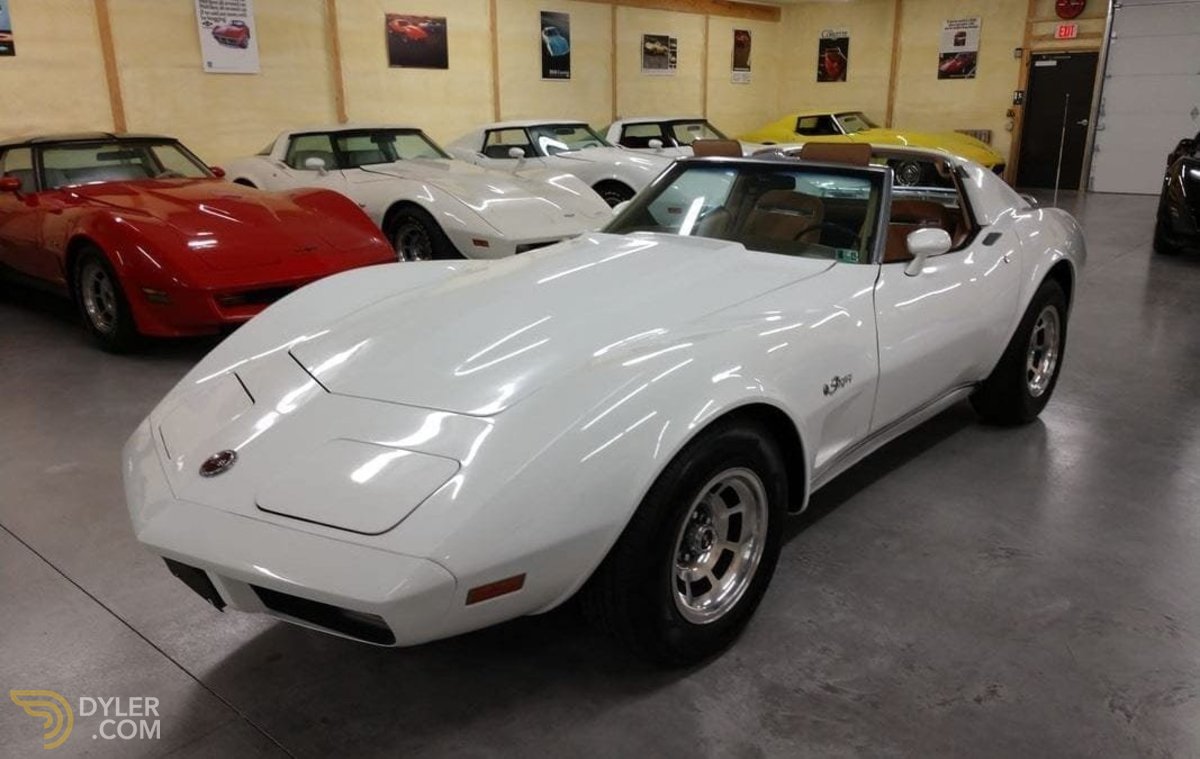 1974 Chevrolet Corvette Stingray T Top, foto 2