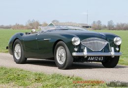 Austin-Healey 100 BN1 Cabriolet / Roadster 1954 Green Austin-Healey 100 BN1 Cabriolet / Roadster 1954 Green Car for Sale. 539118