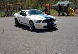 Ford Shelby GT500 Super Snake Tribute Coupe 2007 White Ford Shelby GT500 Super Snake Tribute Coupe 2007 White Car for Sale. 541563