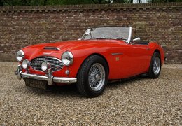 Austin-Healey 100 /6 BN4 Cabriolet / Roadster 1957 Red Austin-Healey 100 /6 BN4 Cabriolet / Roadster 1957 Red Car for Sale. 549397