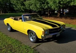 Chevrolet Chevelle Convertible Cabriolet / Roadster 1971 Yellow Chevrolet Chevelle Convertible Cabriolet / Roadster 1971 Yellow Car for Sale. 554283