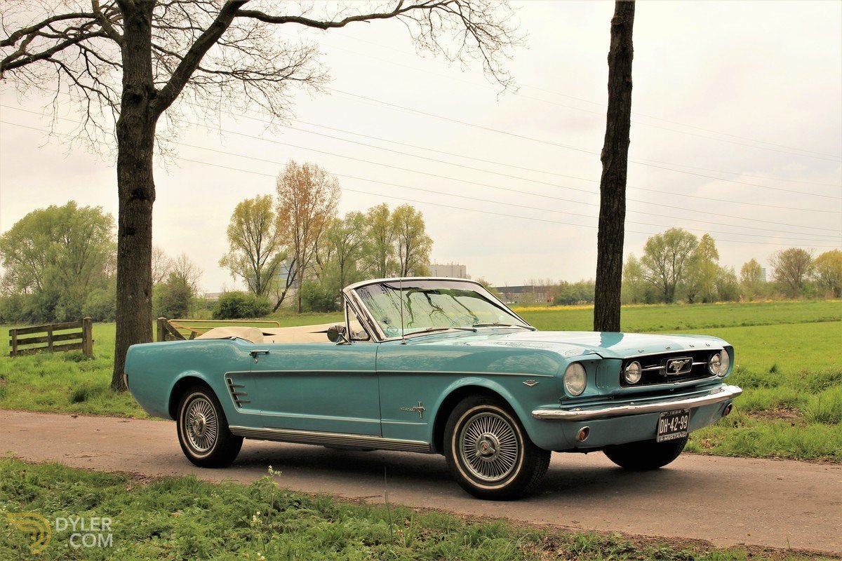 Ford mustang 289
