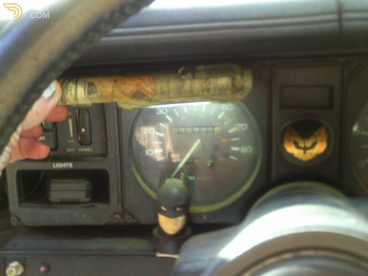 1982 Pontiac Firebird TRANS AM, foto 11