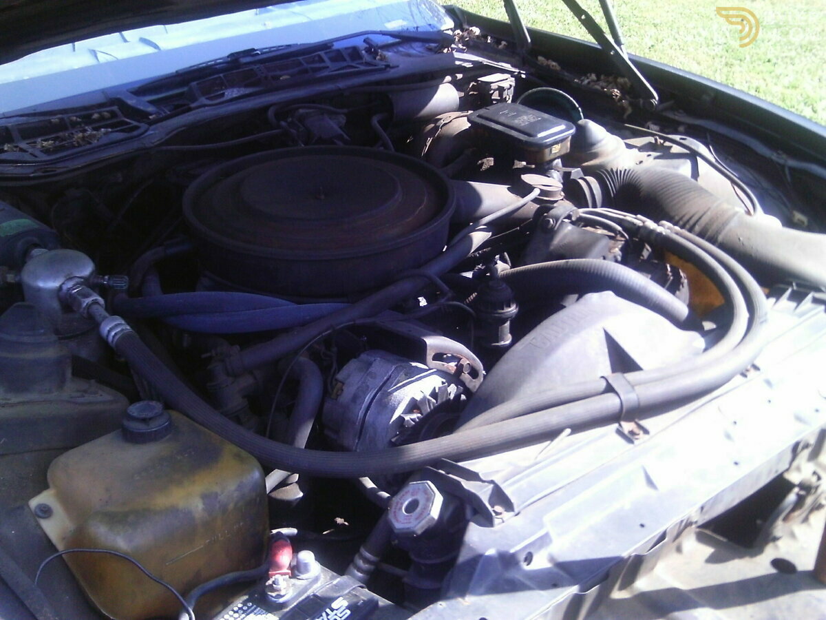1982 Pontiac Firebird TRANS AM, foto 12