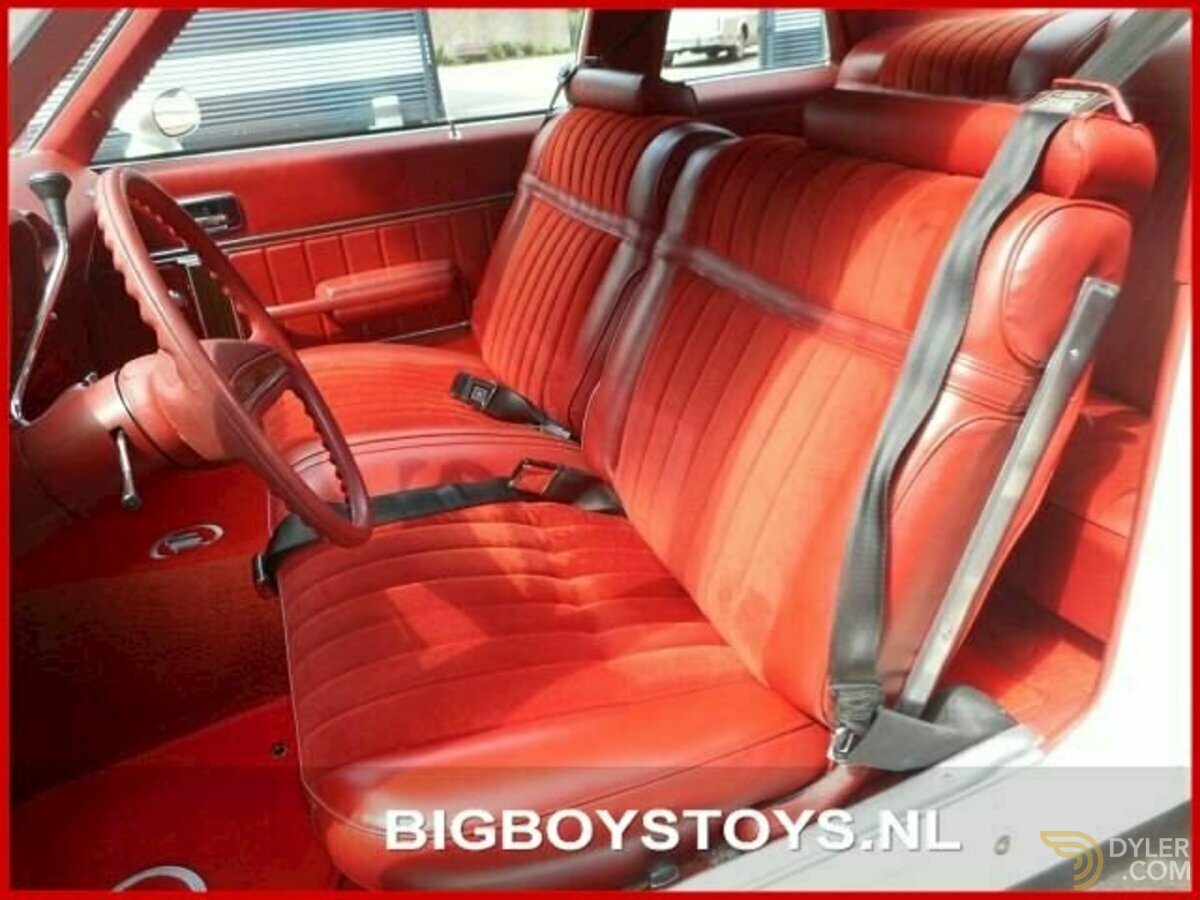 1976 Buick Skylark V8 Landau Coupe, foto 8
