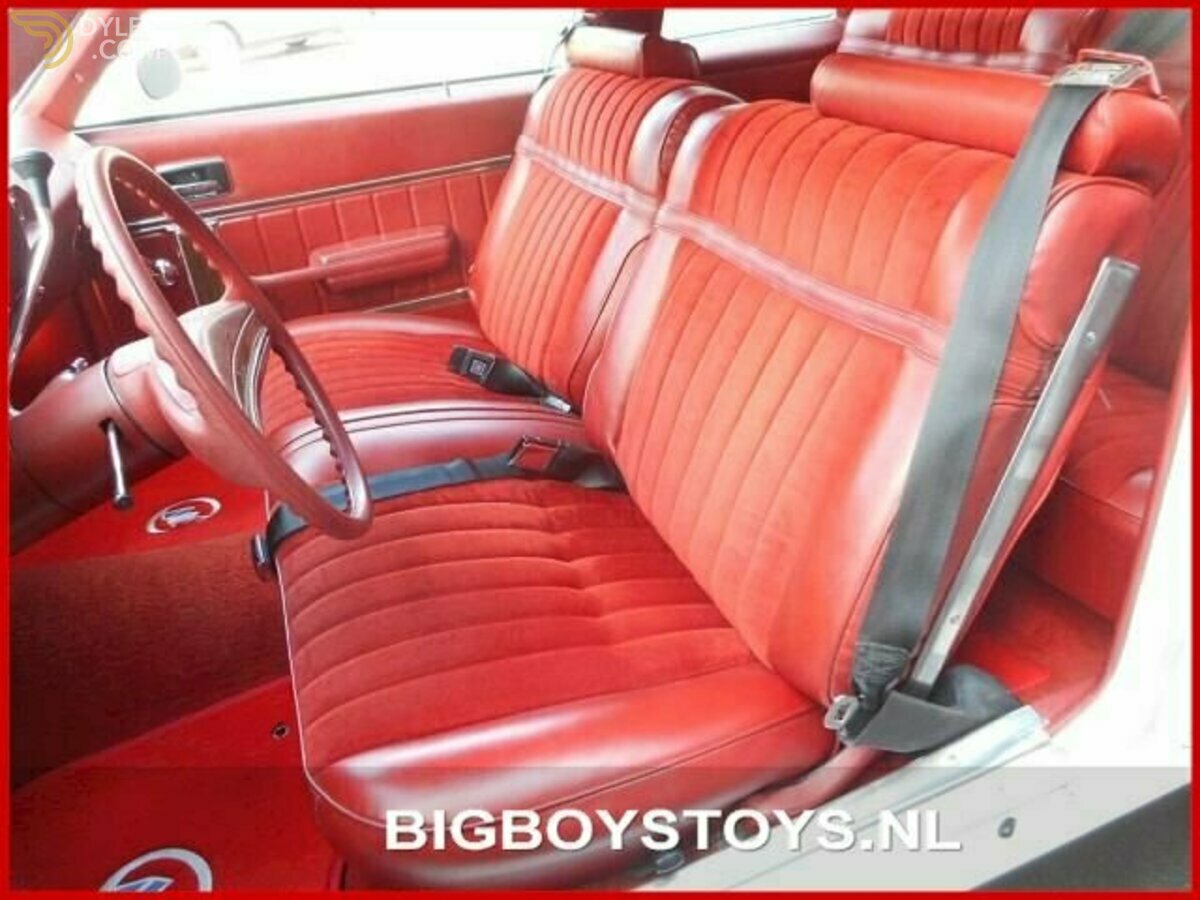 1976 Buick Skylark V8 Landau Coupe, foto 9