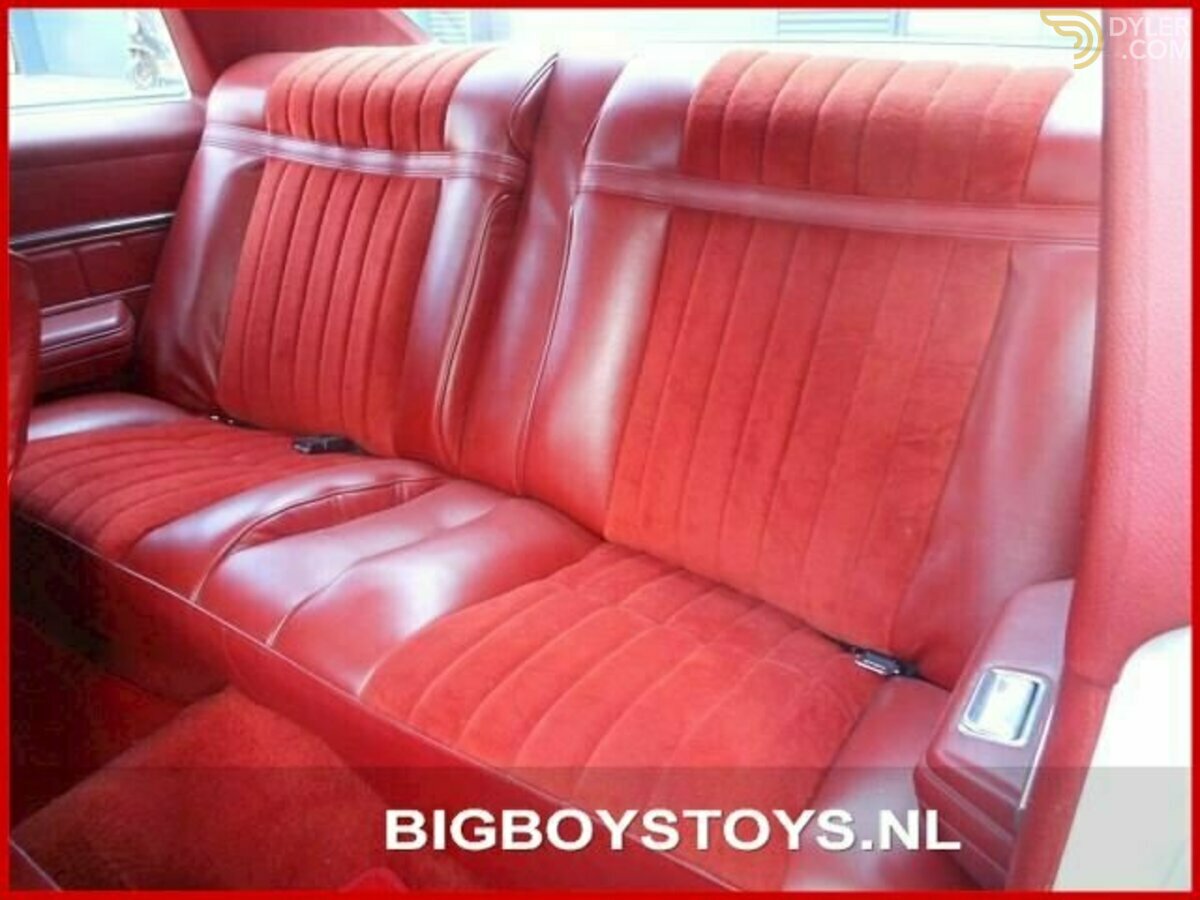 1976 Buick Skylark V8 Landau Coupe, foto 10