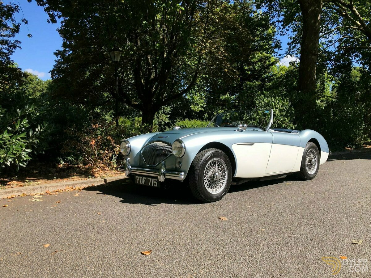 1955 Austin-Healey 100 /4 BN1, foto 2