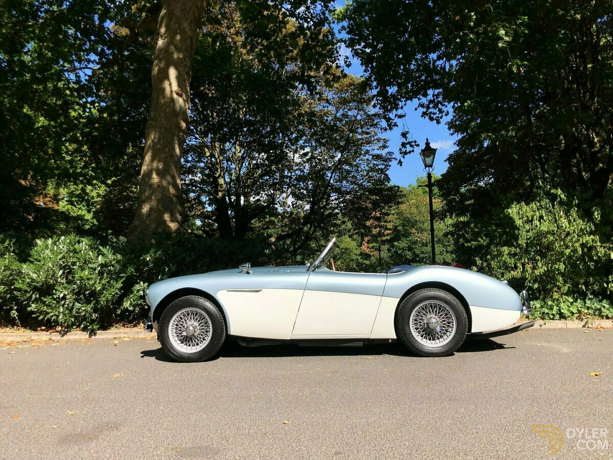1955 Austin-Healey 100 /4 BN1, foto 5