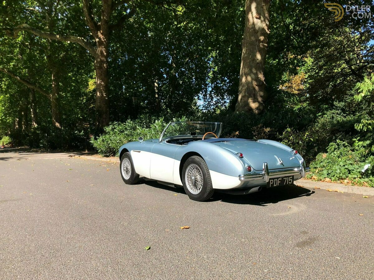 1955 Austin-Healey 100 /4 BN1, foto 8