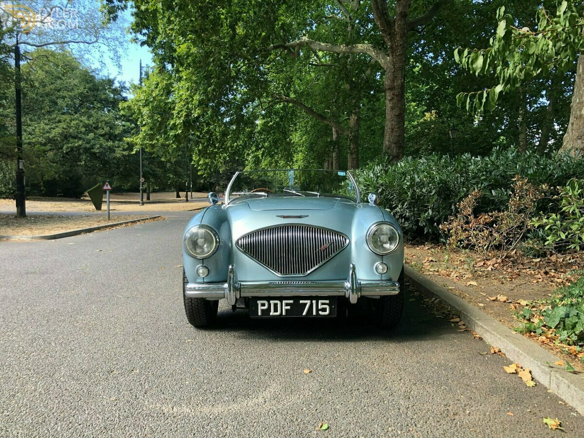 1955 Austin-Healey 100 /4 BN1, foto 10