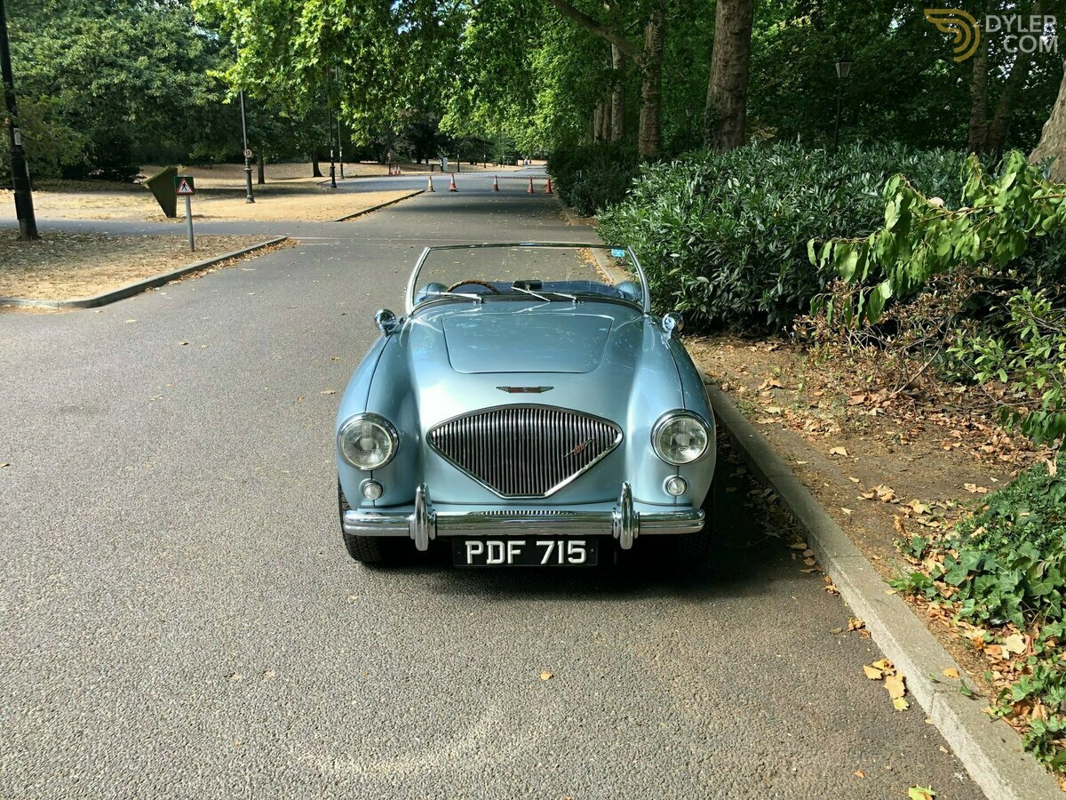 1955 Austin-Healey 100 /4 BN1, foto 11