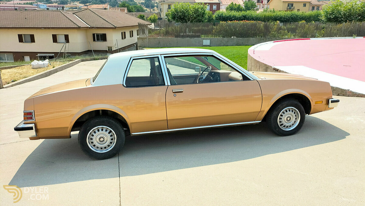1980 Buick Skylark 2.7 6 cil., foto 6