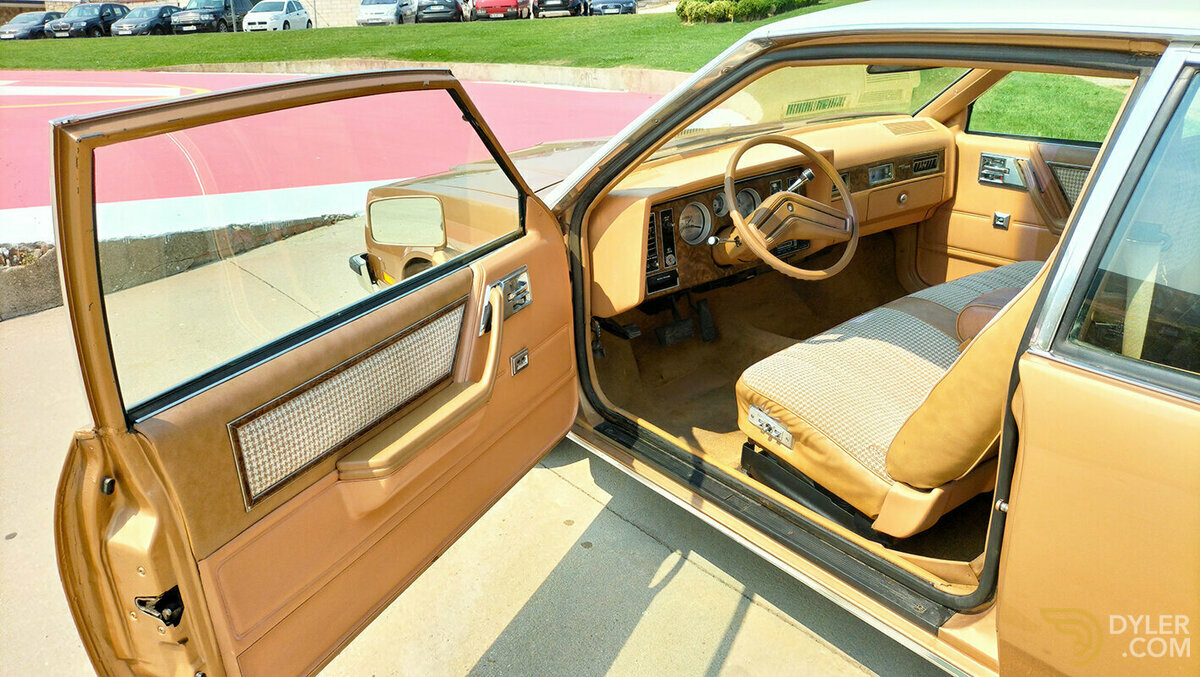 1980 Buick Skylark 2.7 6 cil., foto 9