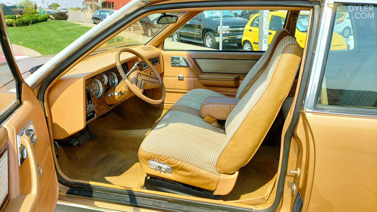 1980 Buick Skylark 2.7 6 cil., foto 10
