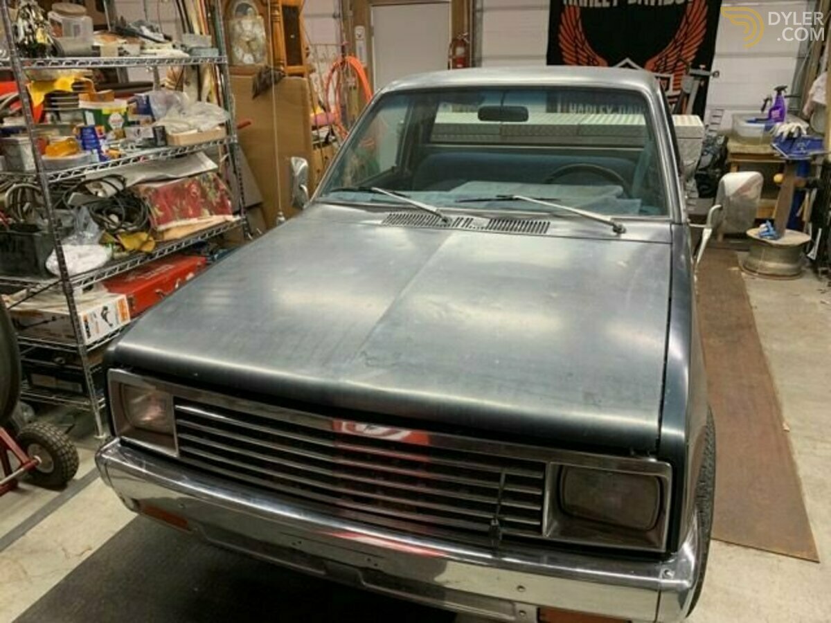 1981 Chevrolet Pickup LUV, foto 1