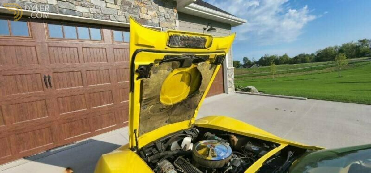 1975 Chevrolet Corvette Stingray, foto 9