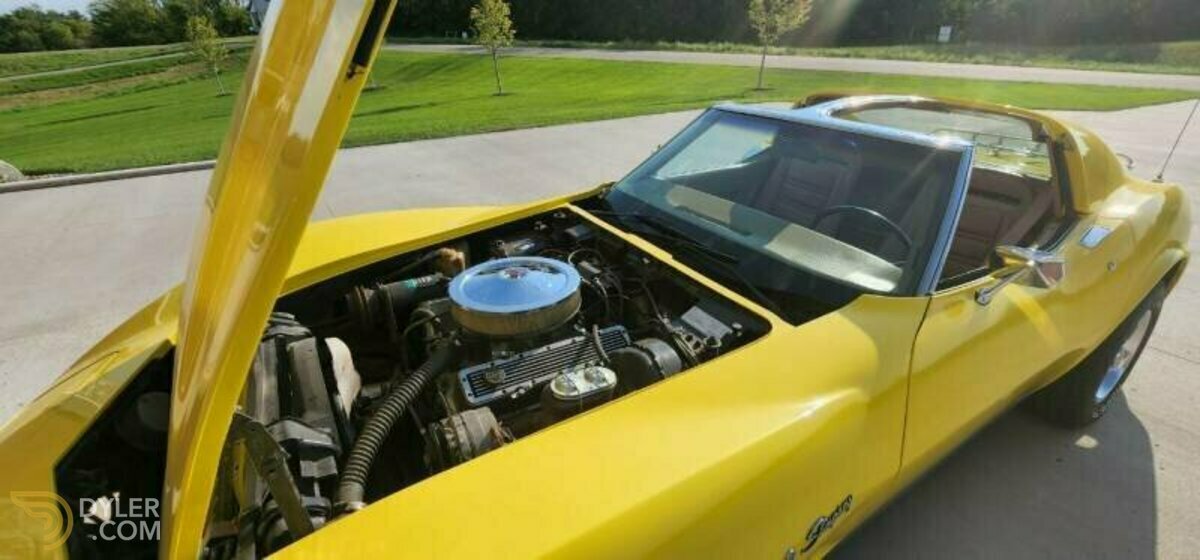 1975 Chevrolet Corvette Stingray, foto 10