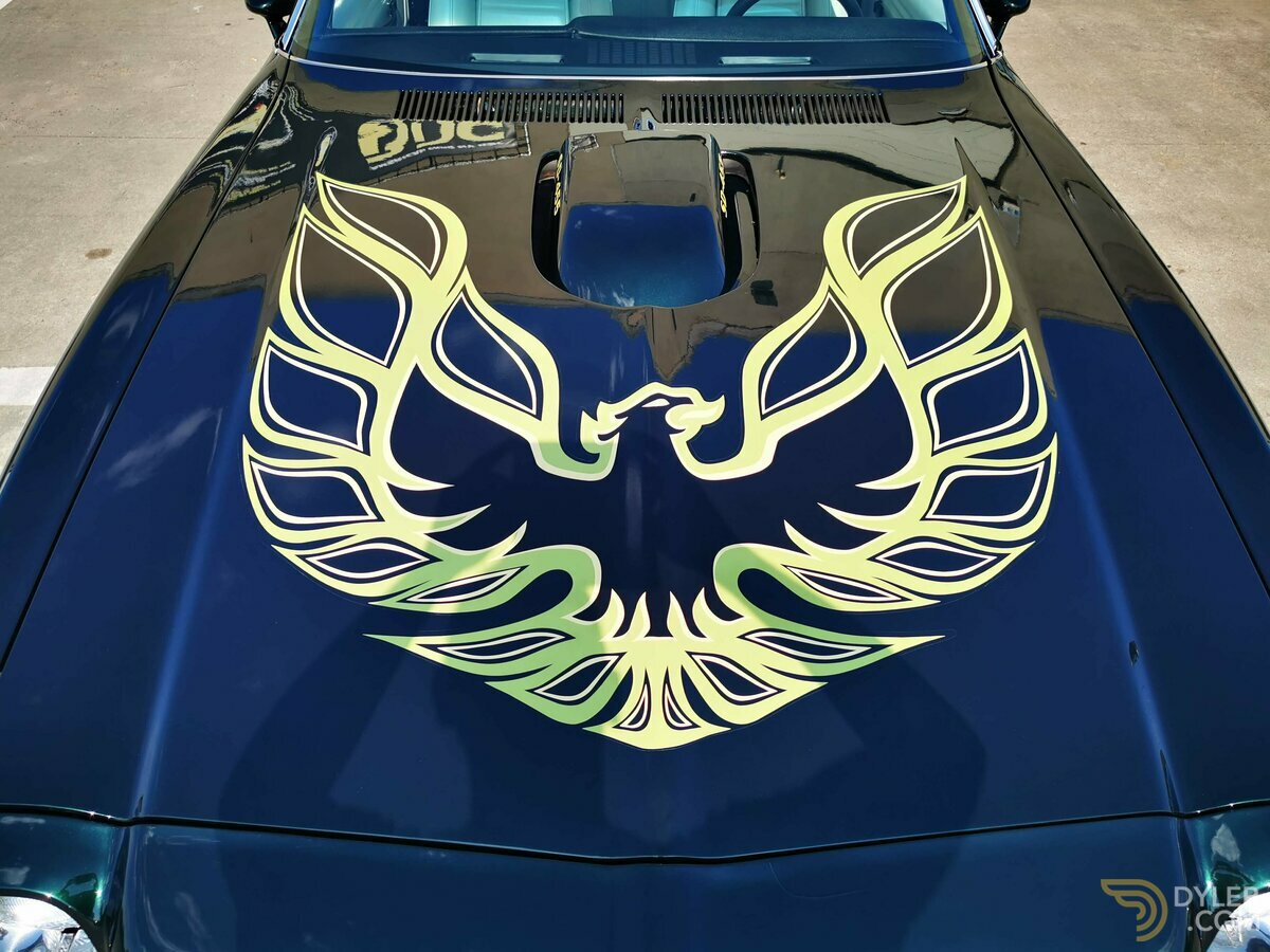 1974 Pontiac Firebird Trans Am T/A 455, foto 2