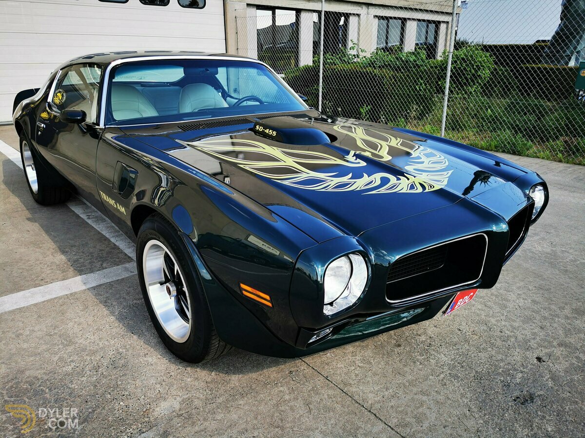 1974 Pontiac Firebird Trans Am T/A 455, foto 8