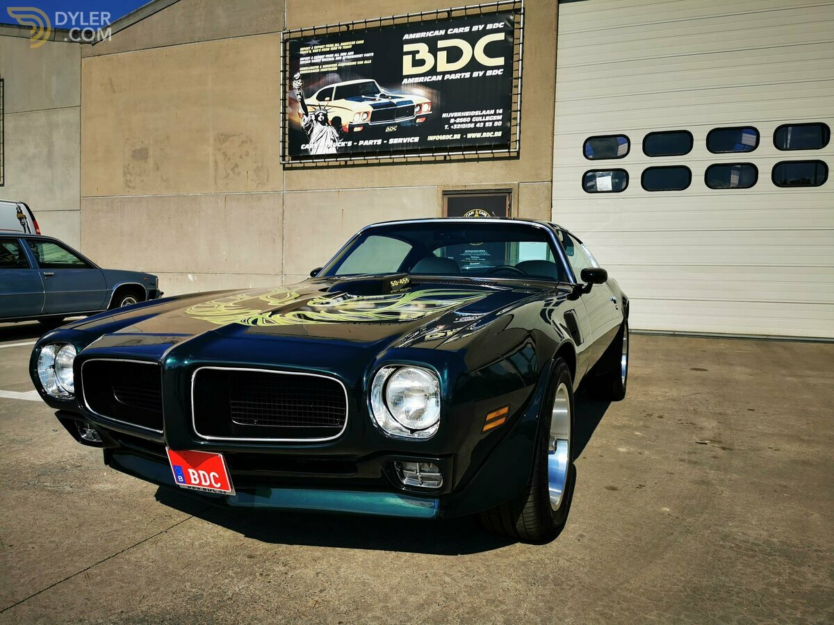 1974 Pontiac Firebird Trans Am T/A 455, foto 10