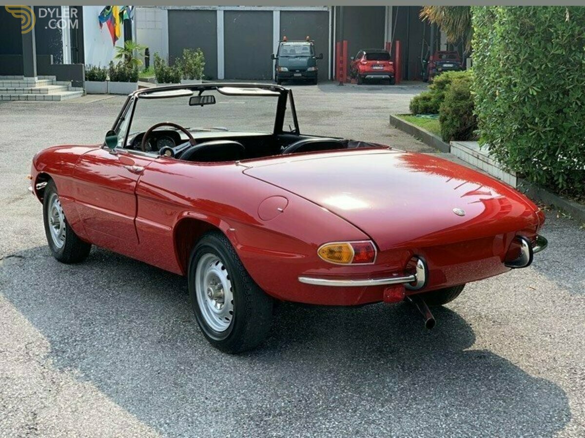 1968 Alfa Romeo Junior Spider 1300 "osso di seppia", foto 3
