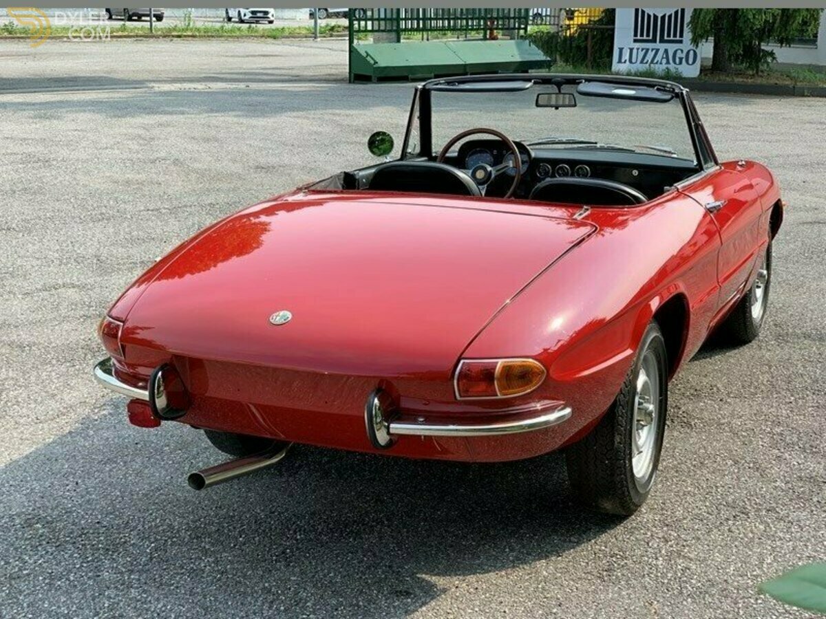 1968 Alfa Romeo Junior Spider 1300 "osso di seppia", foto 5