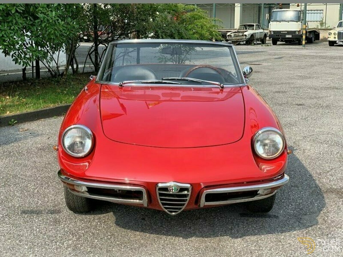 1968 Alfa Romeo Junior Spider 1300 "osso di seppia", foto 7