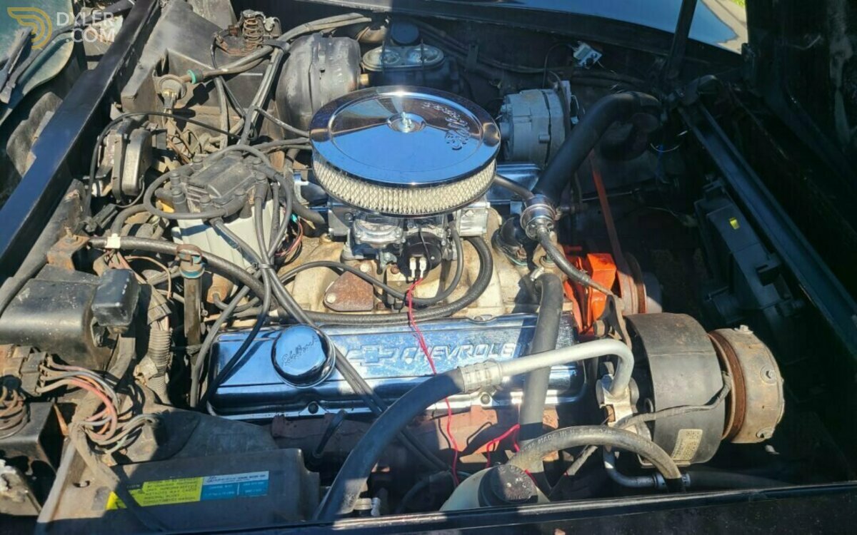 1980 Chevrolet Corvette, foto 6