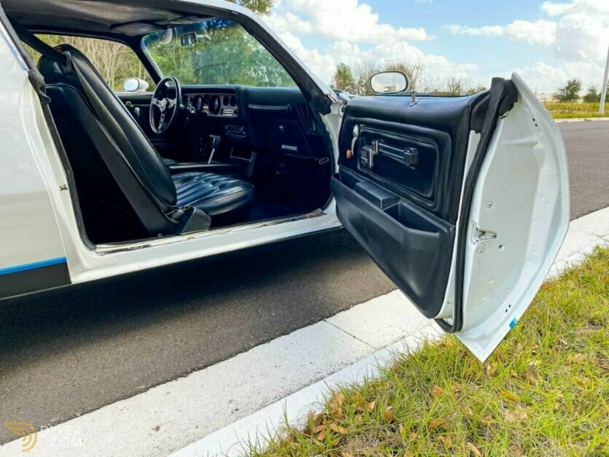 1977 Pontiac Firebird, foto 8