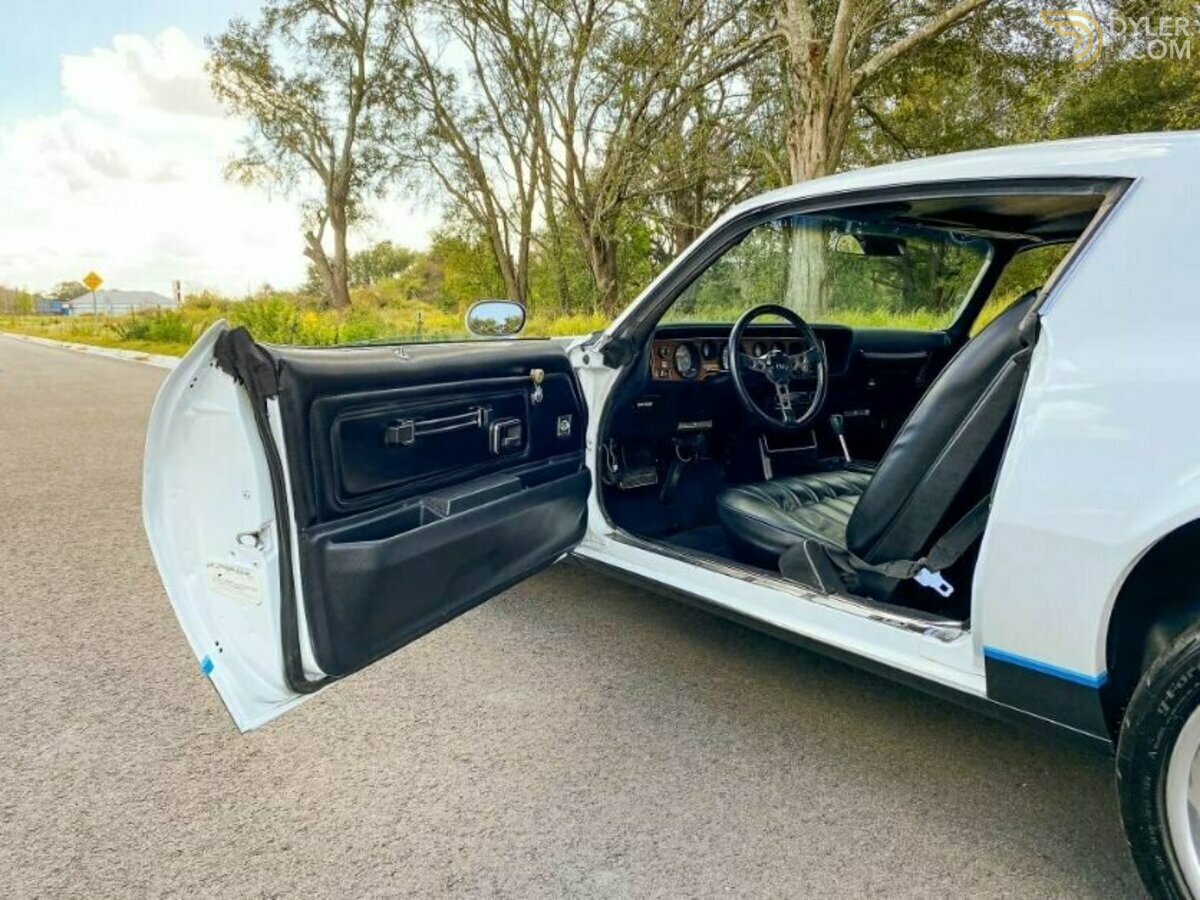 1977 Pontiac Firebird, foto 9