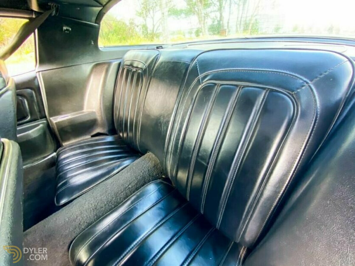 1977 Pontiac Firebird, foto 11