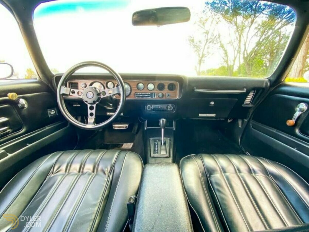1977 Pontiac Firebird, foto 12