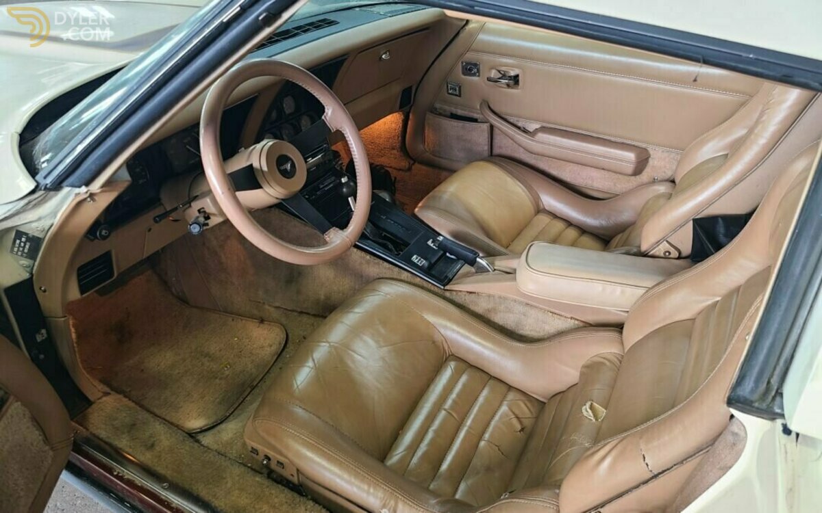 1981 Chevrolet Corvette, foto 4