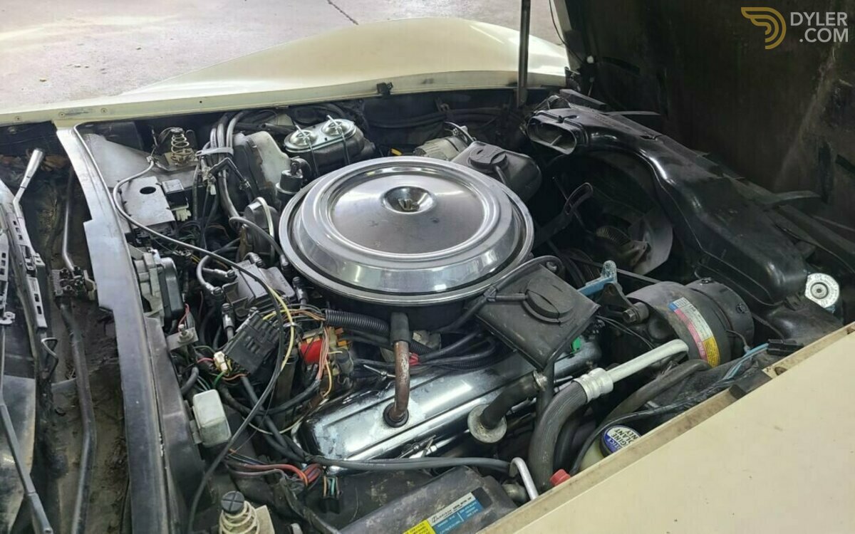 1981 Chevrolet Corvette, foto 5