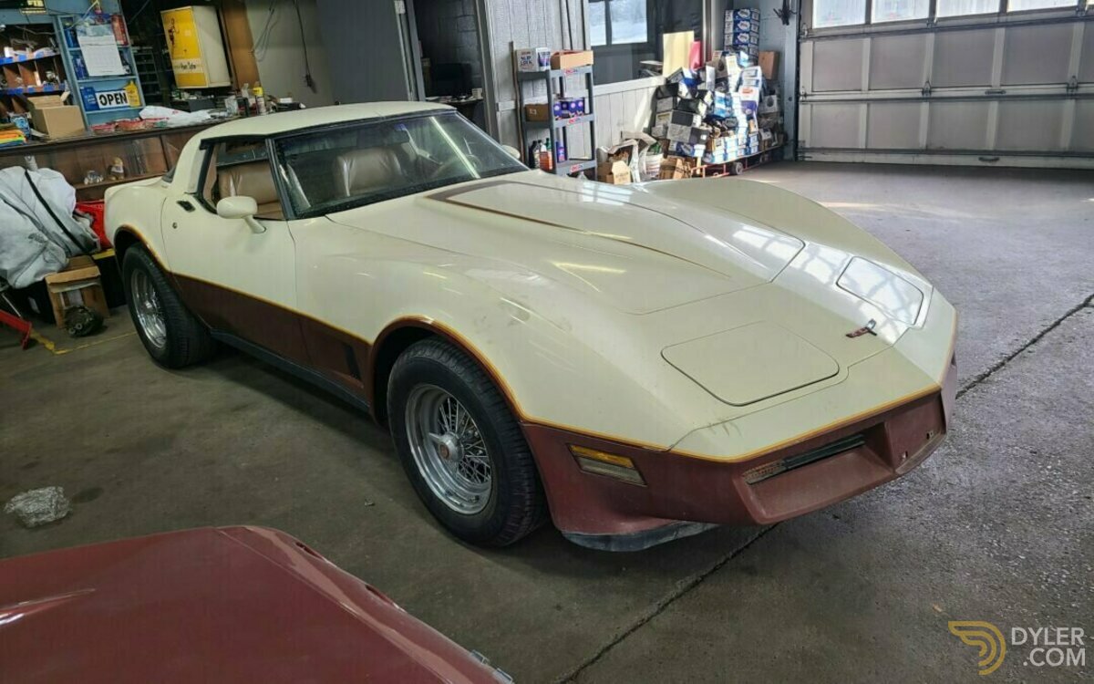 1981 Chevrolet Corvette, foto 6
