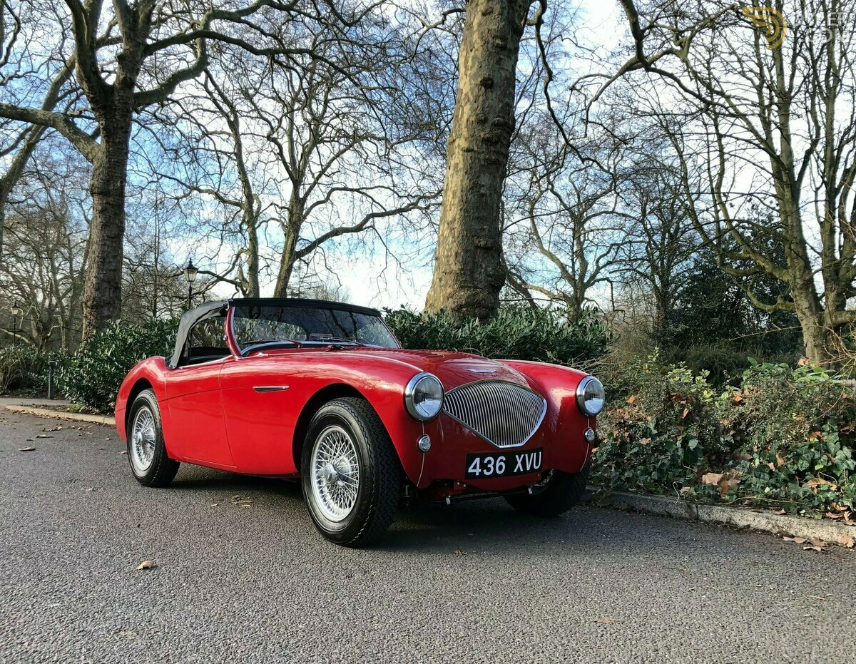 1956 Austin-Healey 100 M, foto 5