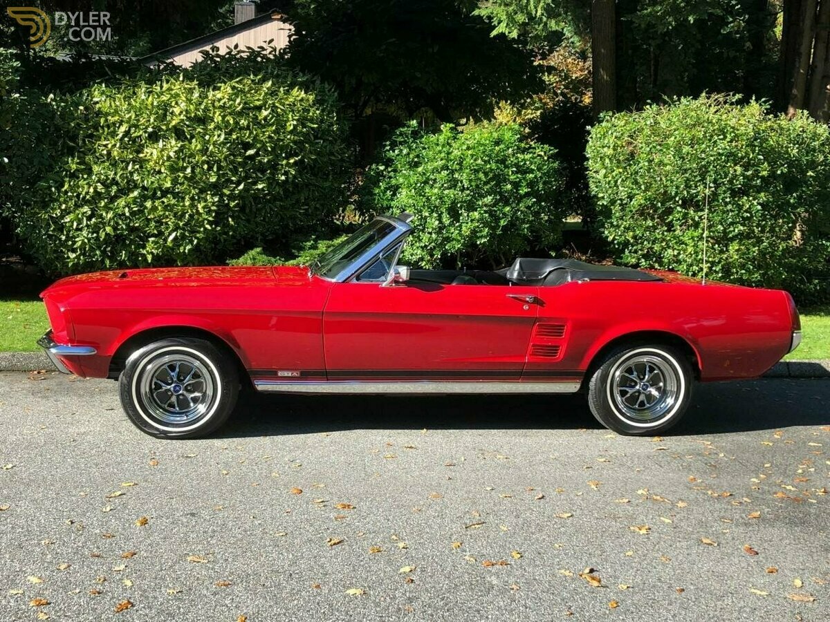 1967 Ford Mustang 390 GTA CABRIOLET, foto 2