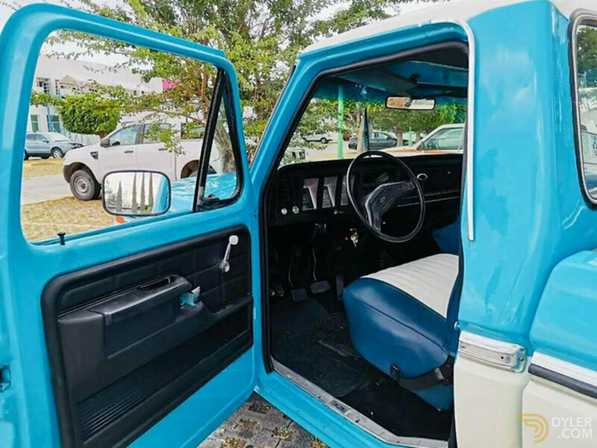 1979 Ford F-150, foto 5
