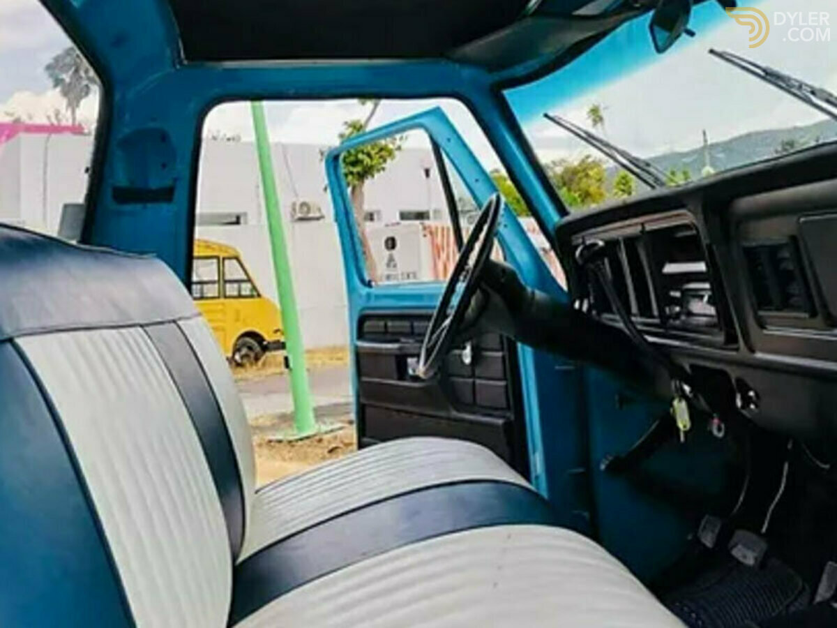 1979 Ford F-150, foto 8