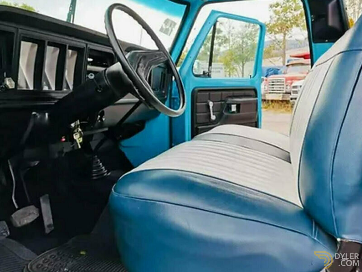 1979 Ford F-150, foto 9